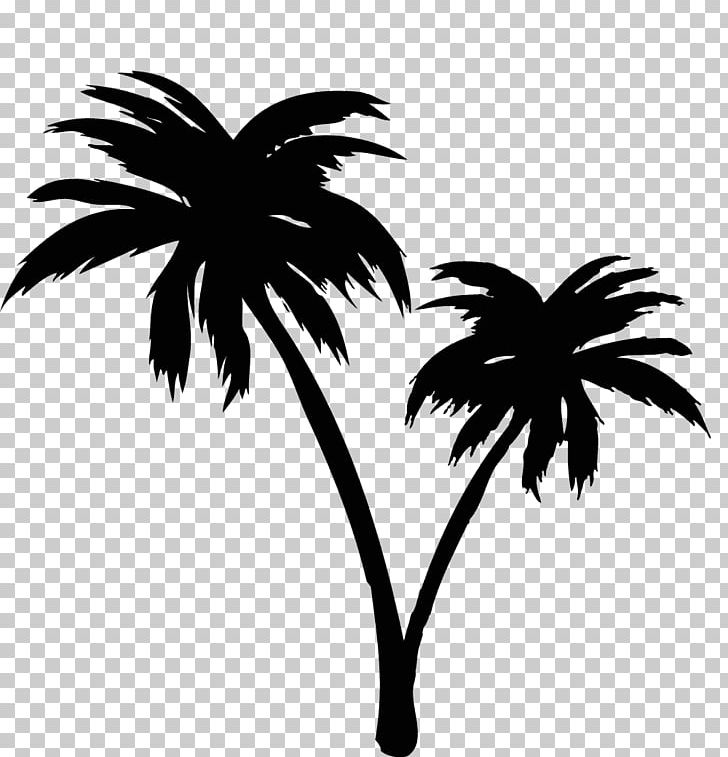 Asian Palmyra Palm Illustrator Arecaceae Iwakuni PNG, Clipart, Arecaceae, Black And White, Borassus, Borassus Flabellifer, Branch Free PNG Download