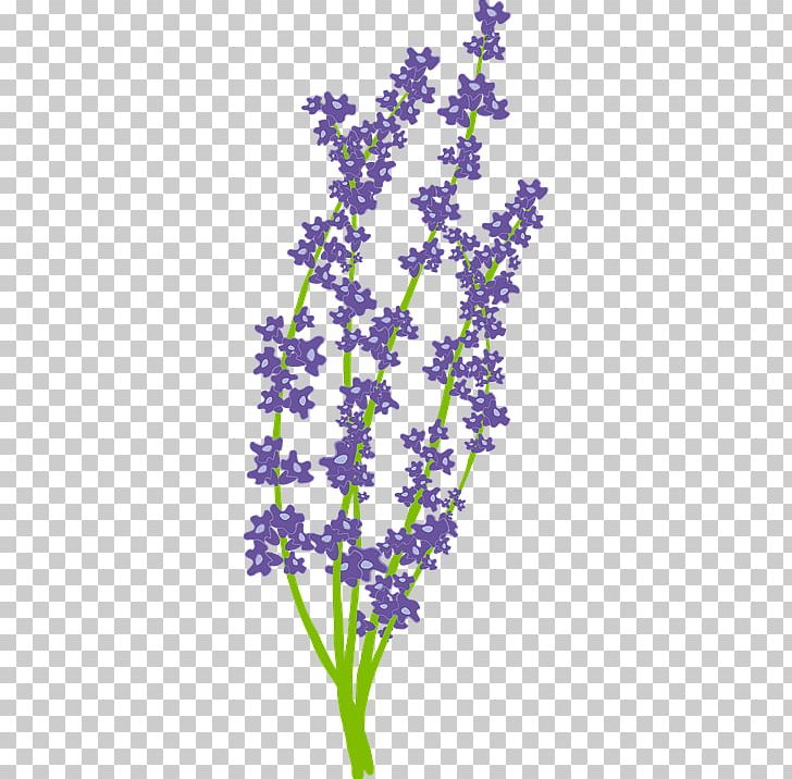 Lavender Portable Network Graphics Graphics PNG, Clipart, Aromatherapy, Computer Icons, Desktop Wallpaper, English Lavender, Essential Oil Free PNG Download