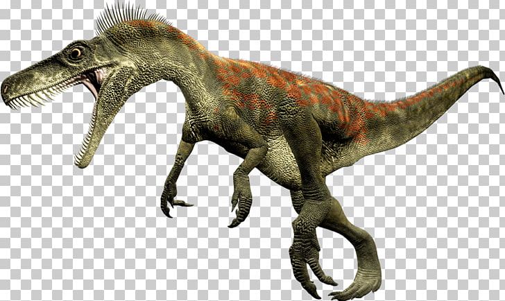 Eodromaeus Herrerasaurus Eoraptor Lunensis Alwalkeria Staurikosaurus PNG, Clipart, Alwalkeria, Dinosaur, Dinosaur Size, Eodromaeus, Eoraptor Lunensis Free PNG Download