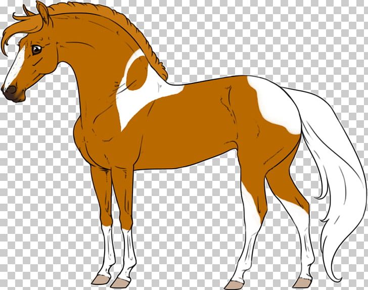 Foal Stallion Colt Mare Mustang PNG, Clipart, Animal, Animal Figure, Bridle, Colt, English Riding Free PNG Download