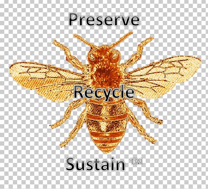 Honey Bee Insect Pest PNG, Clipart, Arthropod, Bee, Computer Icons, Honey, Honey Bee Free PNG Download