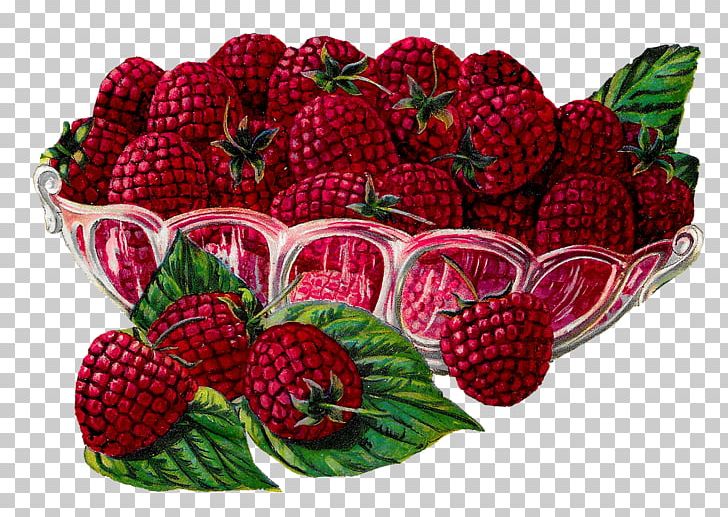 Raspberry Fruit PNG, Clipart, Berry, Blackberry, Computer Icons, Flowerpot, Food Free PNG Download