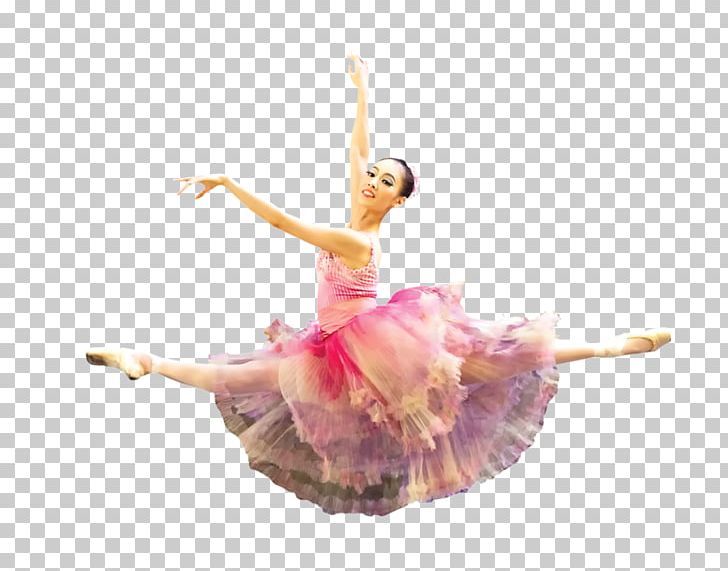 Ballet Dancer Tutu Boston Ballet PNG, Clipart, Ballet, Ballet Company, Ballet Dancer, Ballet Tutu, Boston Free PNG Download