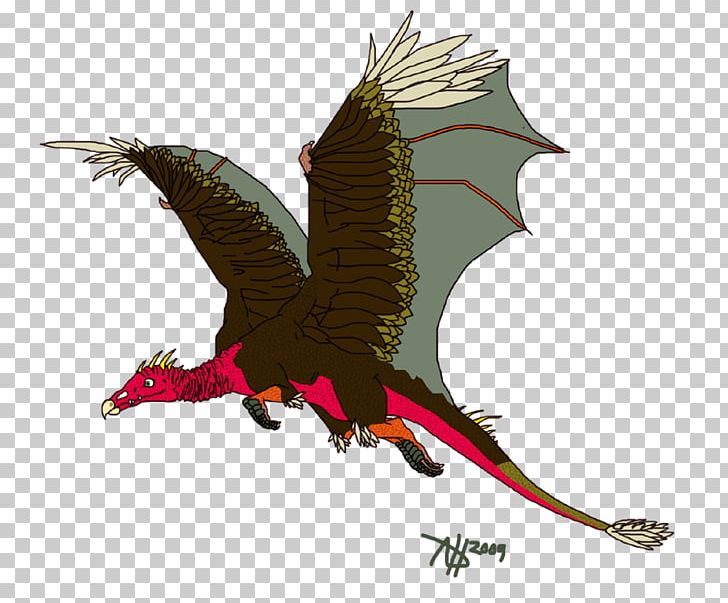 Eagle Dragon Illustration Vulture PNG, Clipart, Beak, Bearded Vulture, Bird, Bird Of Prey, Dragon Free PNG Download