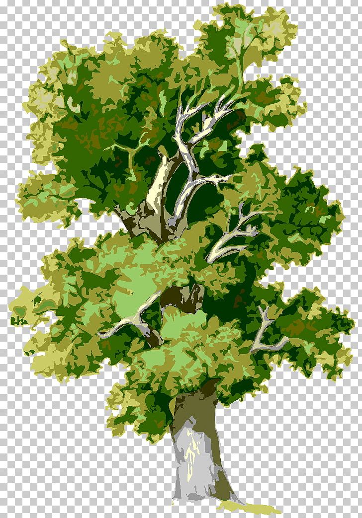 Fruelic's Lair By John D. Hartman Maidenhair Tree Cat Portable Network Graphics PNG, Clipart,  Free PNG Download