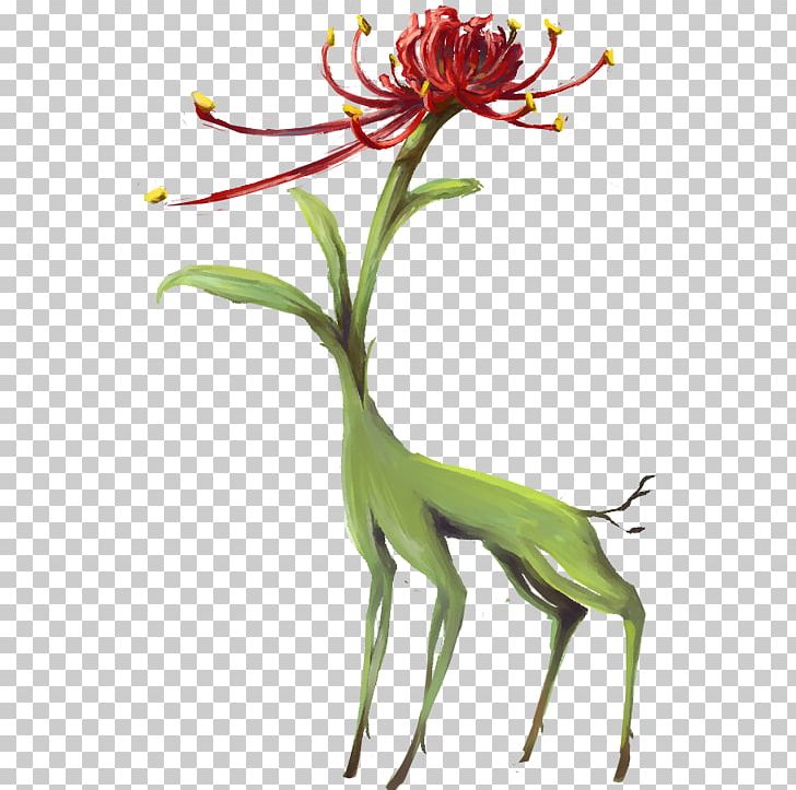 red spider lily drawing