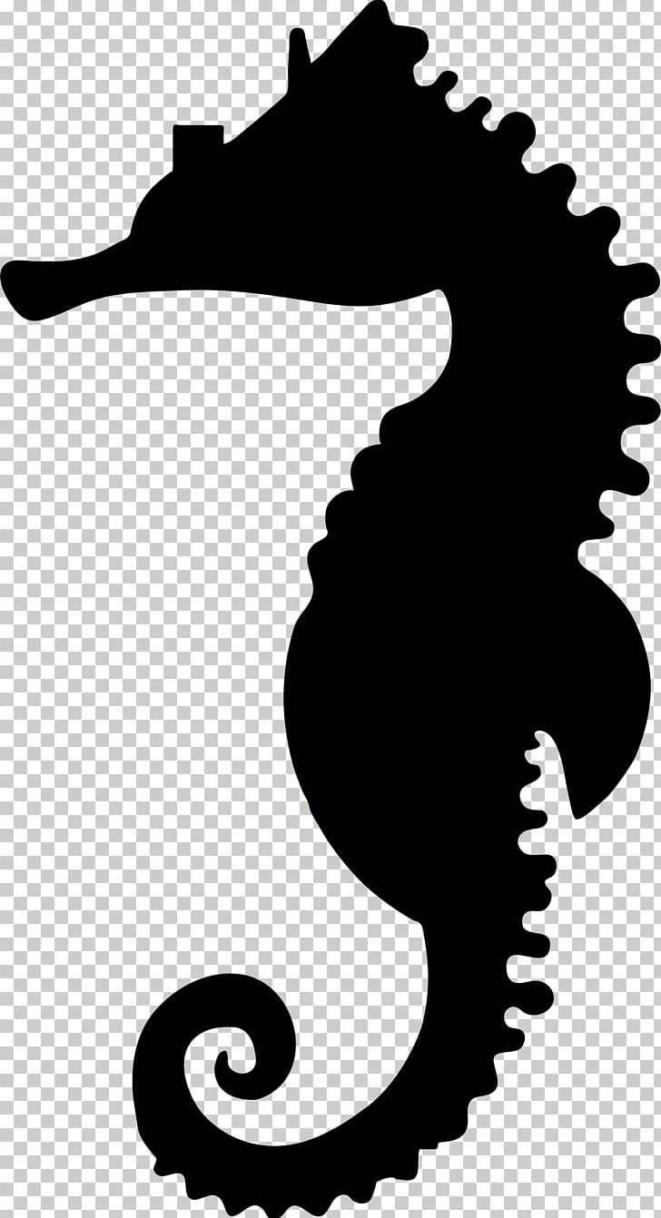Seahorse Silhouette PNG, Clipart, Animals, Artwork, Black, Black And White, Computer Icons Free PNG Download