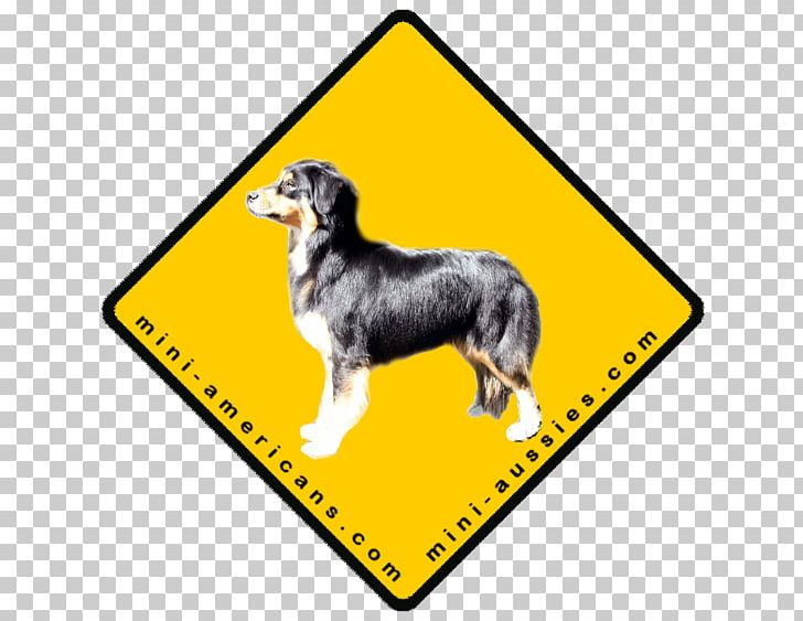 Dog Breed Miniature American Shepherd Circus Australian Shepherd Carpa PNG, Clipart, Australian Shepherd, Bridal Shower, Carnival, Carnivoran, Carpa Free PNG Download