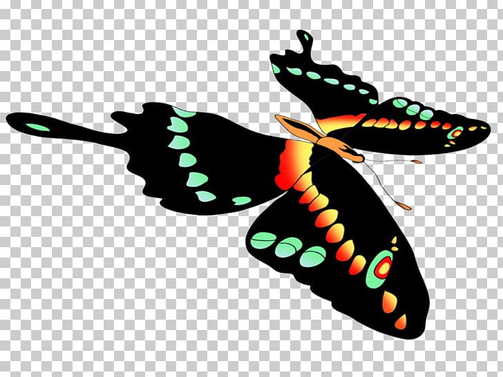 Insect Line PNG, Clipart, Animals, Artwork, Butterfly, Insect, Invertebrate Free PNG Download