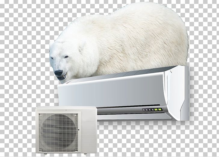 Polar Bear Snout PNG, Clipart, Air, Air Conditioner, Air Conditioning, Animals, Bear Free PNG Download