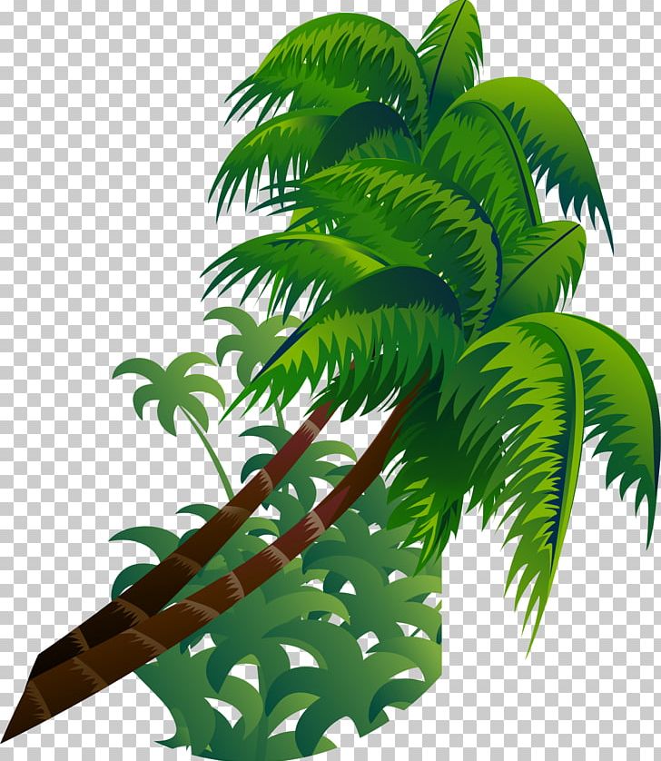 Shulin District PNG, Clipart, Adobe Illustrator, Arecales, Background Green, Botany, Concepteur Free PNG Download