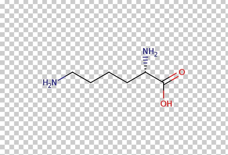 lysine proteinogenic amino acid human metabolome database lysine structure