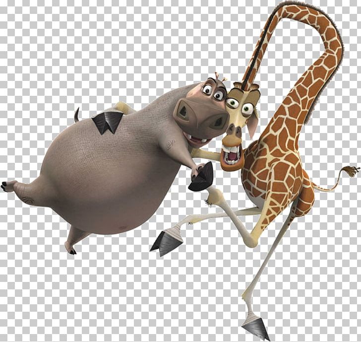 Melman Gloria Alex Marty Madagascar PNG, Clipart, Alex, All Hail King Julien, Animal Figure, Character, Chris Rock Free PNG Download