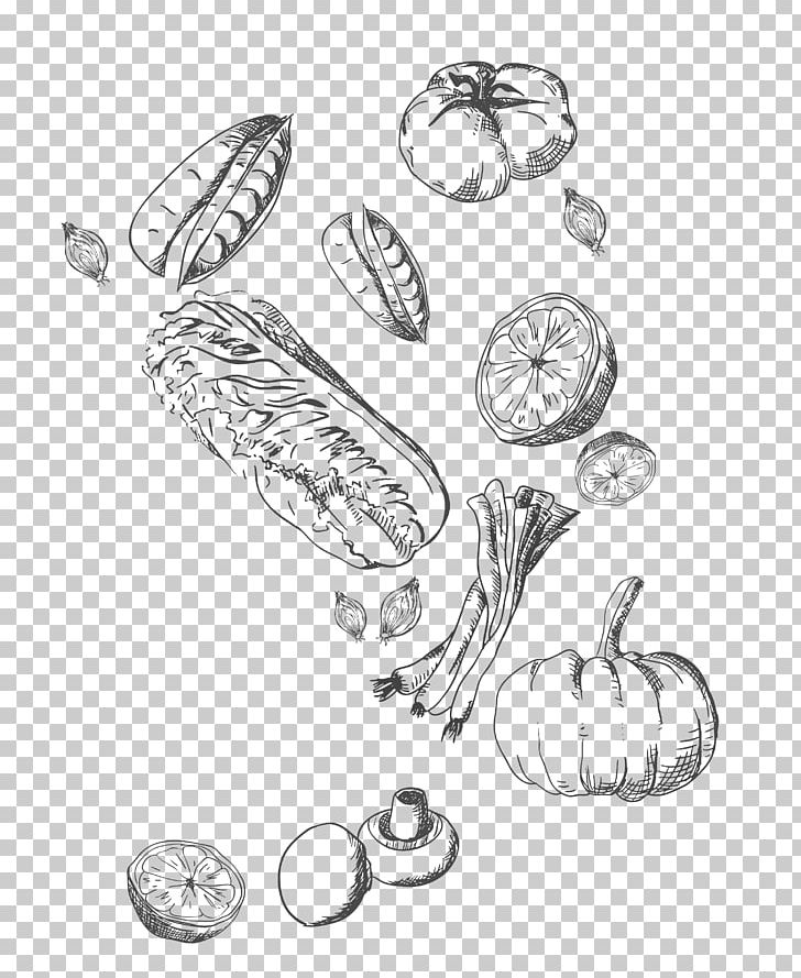 Tangyuan Poster Food PNG, Clipart, Black And White, Body Jewelry, Cabbage, Cabbage Png, Cartoon Free PNG Download