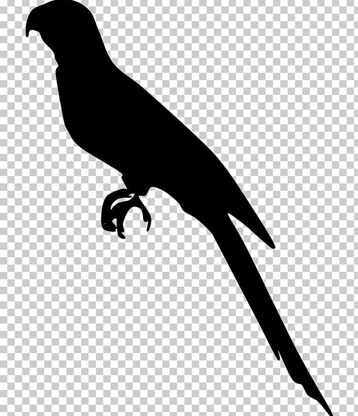 Beak Fauna Silhouette PNG, Clipart, Animals, Beak, Bird, Black And White, Cuban Macaw Free PNG Download