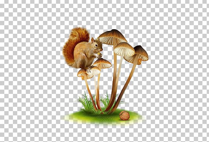 Mushroom Fungus Graphic Design PNG, Clipart, Art, Canvas Print, Champignon, Chart, Digital Image Free PNG Download