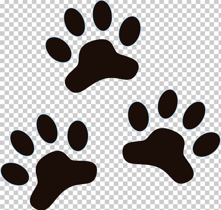 Dog Paw The Cutie Mark Chronicles Pony Cat PNG, Clipart, Animals, Black And White, Cat, Cutie Mark Chronicles, Cutie Watercolo Free PNG Download