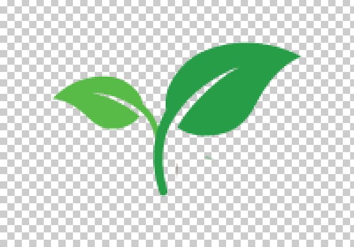 Seedling Plant Shoot Sowing PNG, Clipart, Brand, Computer Icons, Food Drinks, Grass, Green Free PNG Download