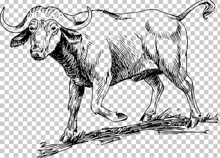 Water Buffalo African Buffalo PNG, Clipart, American Bison, Animal Figure, Art, Artwork, Black And White Free PNG Download
