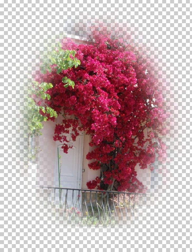 Floral Design Pink M Shrub PNG, Clipart, Anne Amie Vineyards, Art, Flora, Floral Design, Floristry Free PNG Download