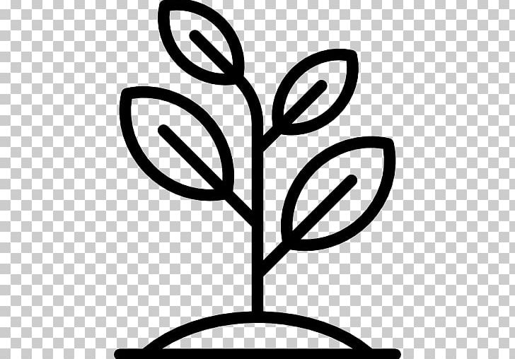 Tree Planting Woody Plant Plant Stem PNG, Clipart, Annual Plant, Artwork, Black And White, Botany, Branch Free PNG Download