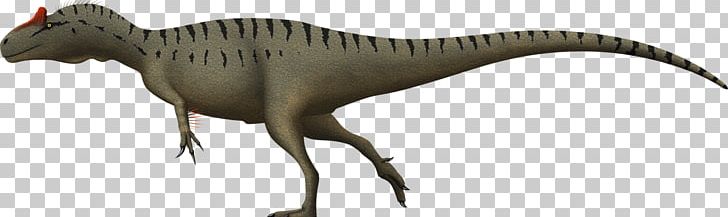 Tyrannosaurus Allosaurus Marshosaurus Giganotosaurus Sinraptor PNG, Clipart, Allosaurus Europaeus, Animal, Animal Figure, Beak, Deviantart Free PNG Download