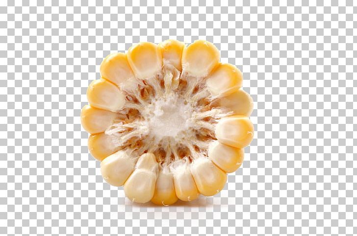 Waxy Corn Popcorn Maize Sweet Corn PNG, Clipart, Agriculture, Cartoon Corn, Corn, Corn Cartoon, Corn Flakes Free PNG Download