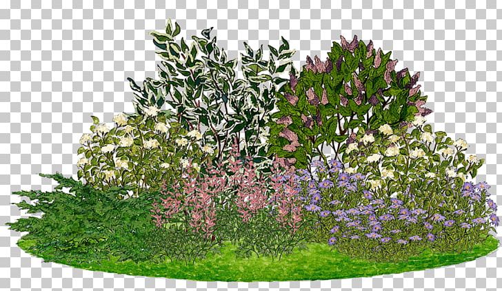 White Dogwood Tree Garden Lilac Smooth Hydrangea PNG, Clipart, Dogwood, Flower, Garden, Grass, Grefsheim Spirea Free PNG Download
