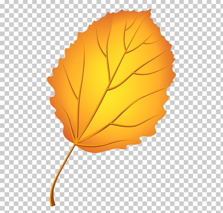 Autumn Leaf Color European Aspen Tree PNG, Clipart, Alder, Autumn Leaf Color, Bark, Data Compression, European Aspen Free PNG Download