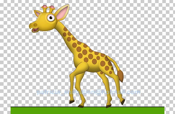 Baby Giraffes Animation Drawing Cartoon PNG, Clipart, Animal, Animal Figure, Animals, Animation, Animator Free PNG Download
