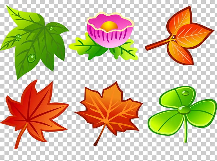 Leaf PNG, Clipart, Artwork, Flora, Flower, Flowering Plant, Graphic Design Free PNG Download