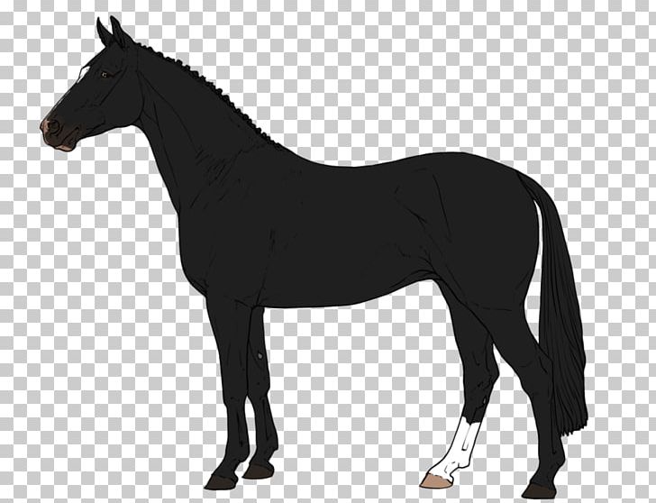 Arabian Horse Percheron American Paint Horse Foal Stallion PNG, Clipart, American Paint Horse, Animals, Arabian Horse, Black, Bridle Free PNG Download