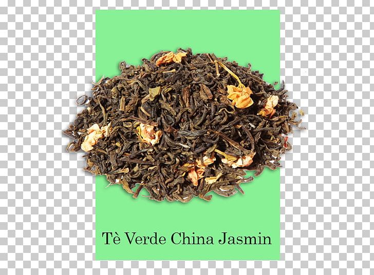 Green Tea Sencha White Tea Oolong PNG, Clipart,  Free PNG Download