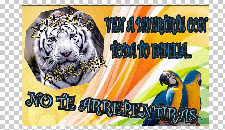 White Tiger Graphic Design Text PNG, Clipart, Advertising, Animals, Art, Bag, Big Cats Free PNG Download