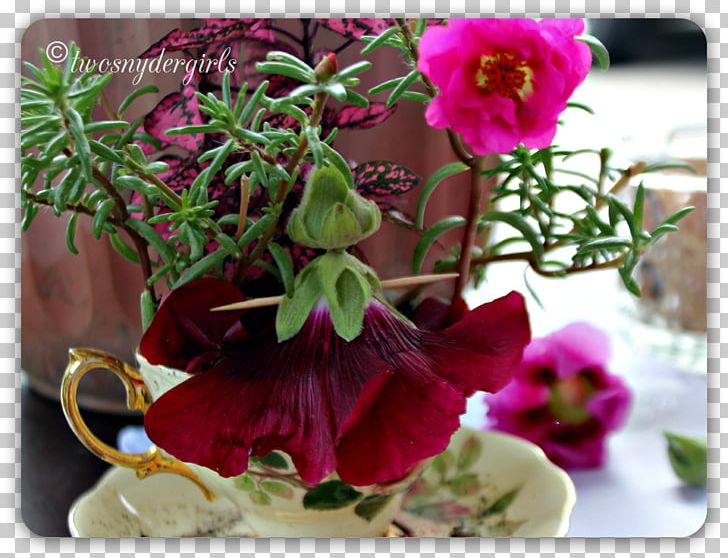 Floral Design Flowerpot Violet Family PNG, Clipart, Family, Family Film, Flora, Floral Design, Floristry Free PNG Download