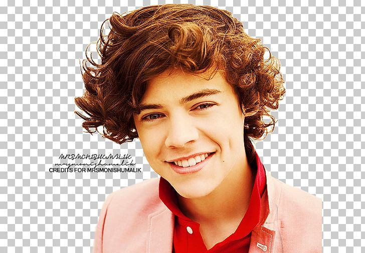 Harry Styles: Live On Tour Holmes Chapel The X Factor One Direction Singer-songwriter PNG, Clipart, Actor, Boy Band, Brown Hair, Celebrity, Chin Free PNG Download