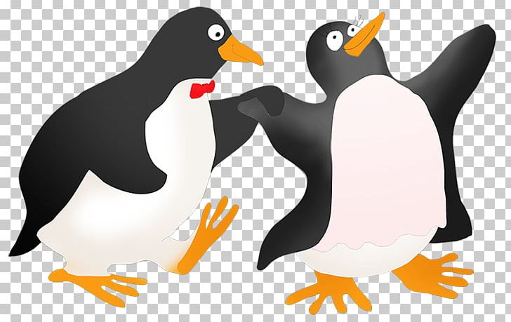 Penguin PNG, Clipart, Animals, Beak, Bird, Dance, Drawing Free PNG Download