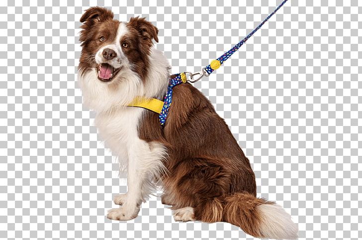 Dog Breed Border Collie Boxer English Setter Scotch Collie PNG, Clipart, Animal, Animals, Border Collie, Boxer, Breed Free PNG Download