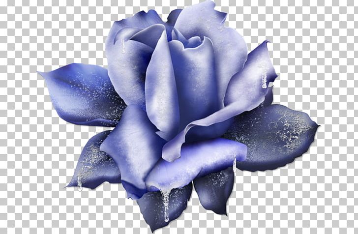 Blue Rose PNG, Clipart, Blue, Blue Rose, Cicek Resimleri, Closeup, Cut Flowers Free PNG Download