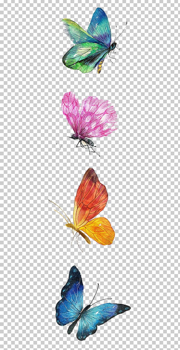 Butterfly Drawing Watercolor Painting Illustration PNG, Clipart, Art, Beautiful, Blue Butterfly, Brush Footed Butterfly, Butterflies Free PNG Download