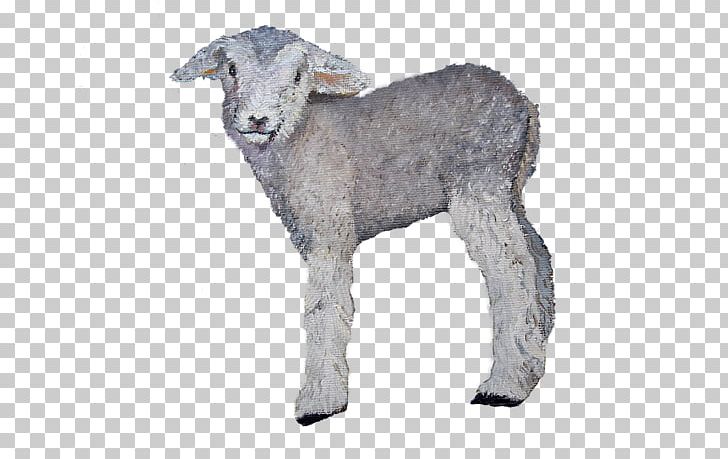 Sheep Goat Cattle Fur Snout PNG, Clipart, Animal Figure, Cattle, Cattle Like Mammal, Cow Goat Family, Fur Free PNG Download