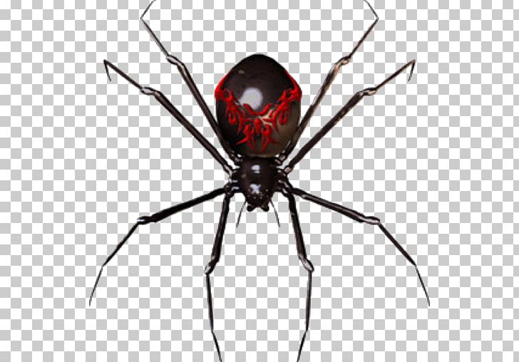 Spider Web European Garden Spider Redback Spider PNG, Clipart, Angulate Orbweavers, Arachnid, Araneus, Arthropod, Barn Spider Free PNG Download