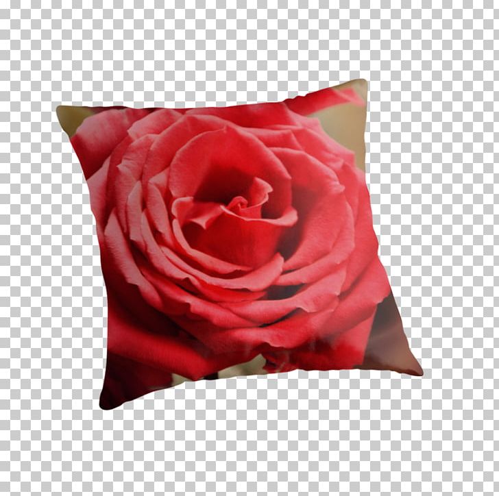 Garden Roses Pillow Cushion Cut Flowers PNG, Clipart, Bag, Canvas, Canvas Print, Cushion, Cut Flowers Free PNG Download