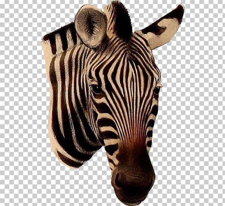 Quagga Zebra Duiker Horse Towel PNG, Clipart, Animal, Animals, Antelope, Canvas Print, Clown Free PNG Download