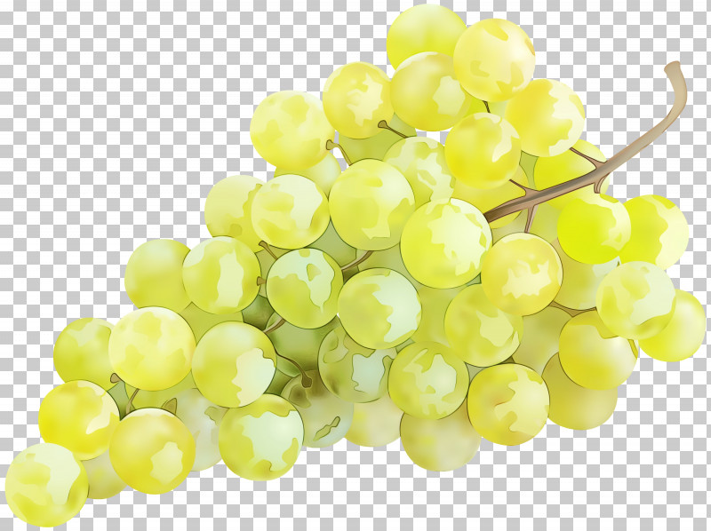 Sultana Seedless Fruit Grapevines Grape Seed Extract Grape PNG, Clipart, Fruit, Grape, Grape Seed Extract, Grape Seed Extract Supplement, Grapevines Free PNG Download