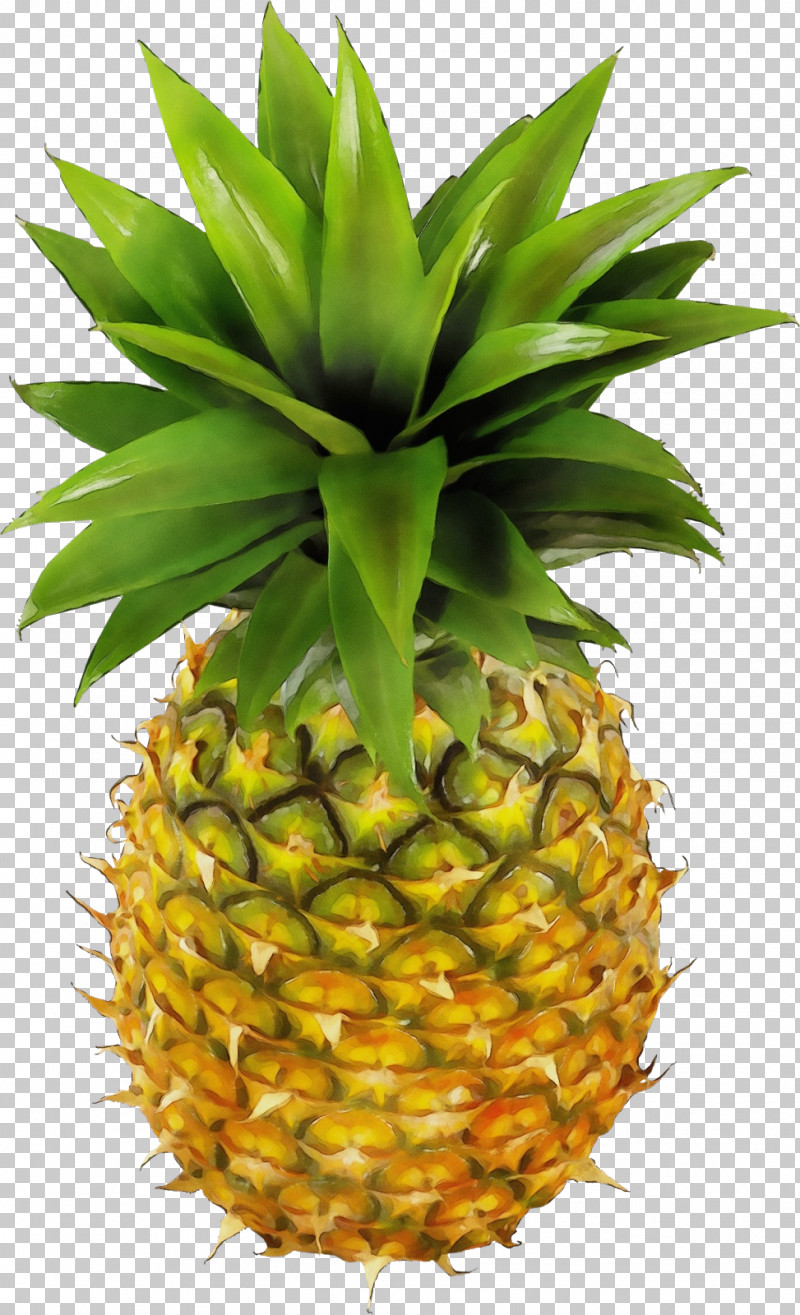 Pineapple PNG, Clipart, Ananas, Food, Fruit, Natural Foods, Paint Free PNG Download