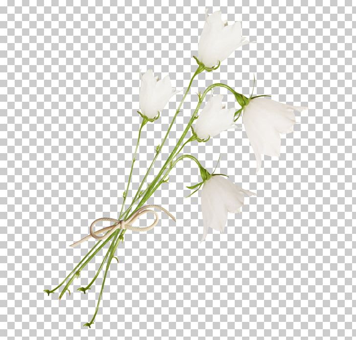 Floral Design Bellflowers Cut Flowers White PNG, Clipart, Bell, Bellflowers, Branch, Color, Decor Free PNG Download