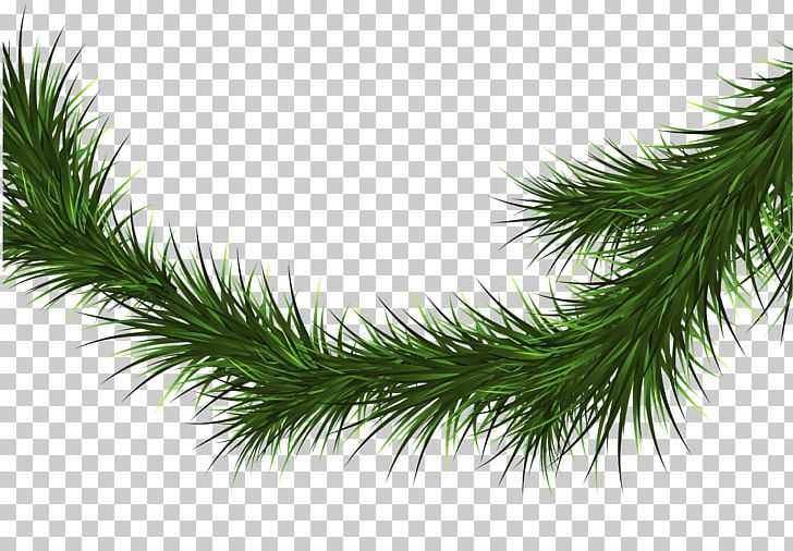 Spruce Fir Pine Christmas Tree Branch PNG, Clipart, Bombka, Branch, Christmas, Christmas Ornament, Christmas Tree Free PNG Download