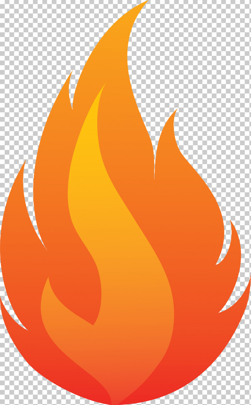 Fire Flame PNG, Clipart, Biology, Fire, Flame, Flower, Fruit Free PNG Download