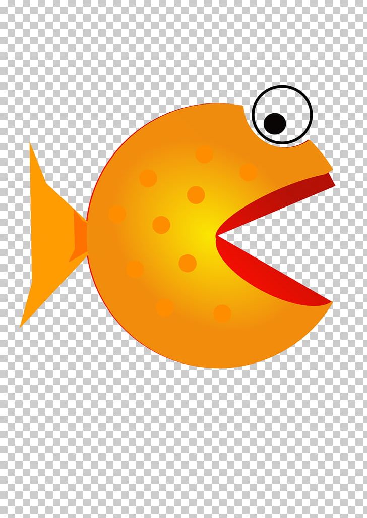 Super Fish PNG, Clipart, Animals, Beak, Computer Icons, Drawing, Fish Free PNG Download